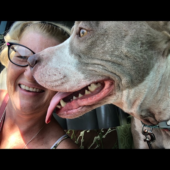 Meet your Posher, Jenny - Picture 5 of 9